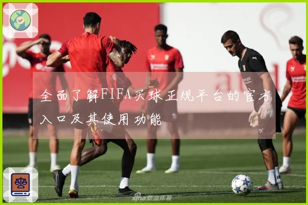 全面了解FIFA买球正规平台的官方入口及其使用功能